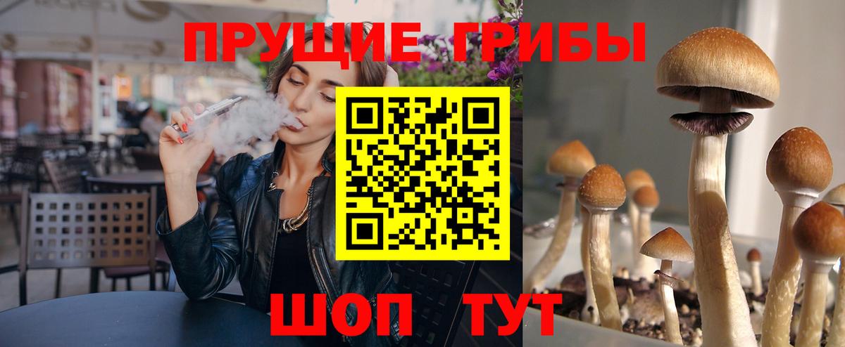 Галлюциногенные грибы MAGIC MUSHROOMS Чита